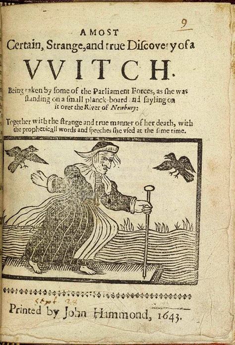 The Witch's Home Video: A Modern-day Witch Hunt